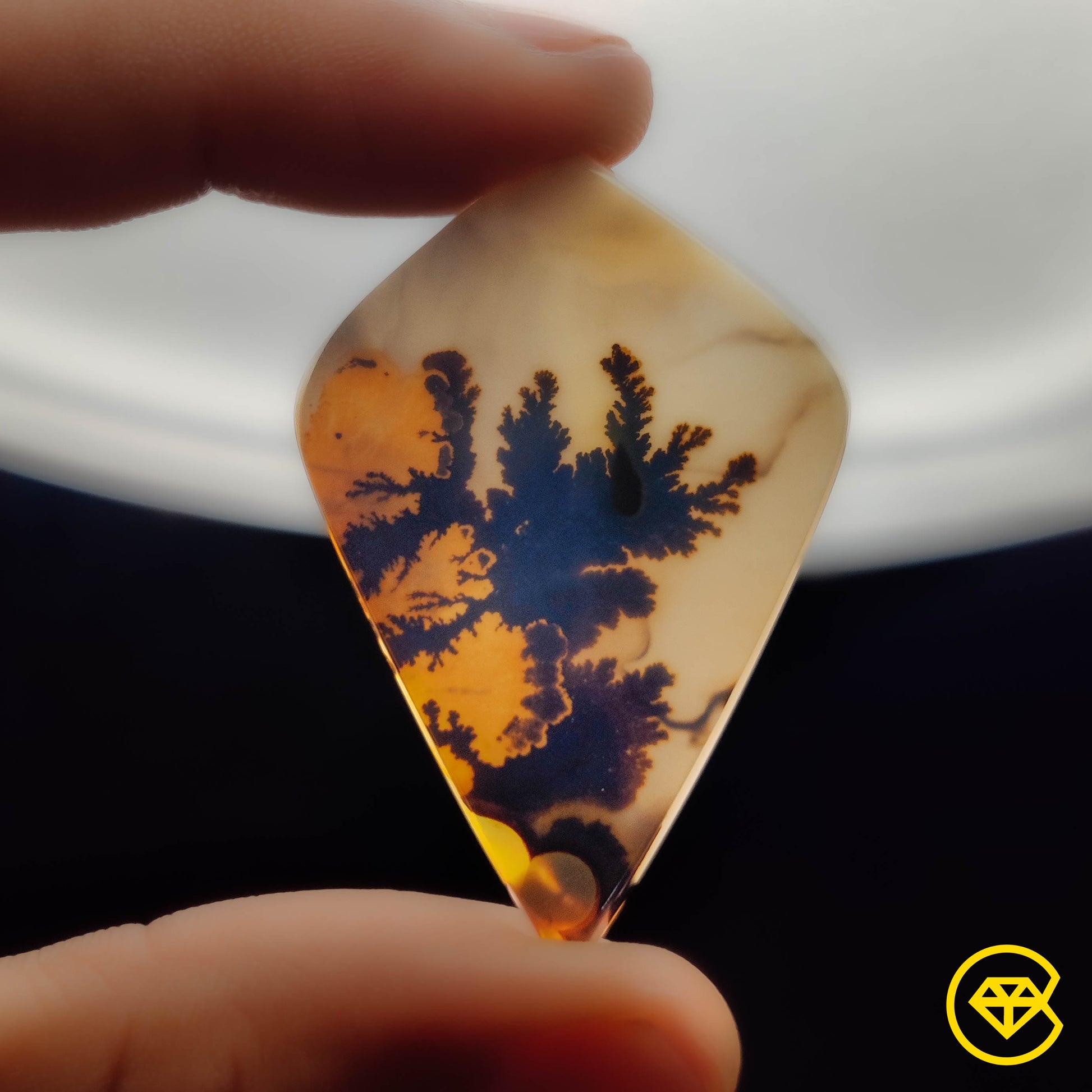 Scenic Agate