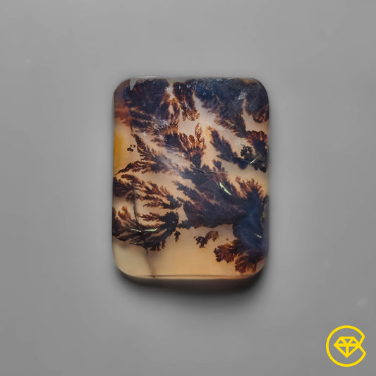Scenic Agate