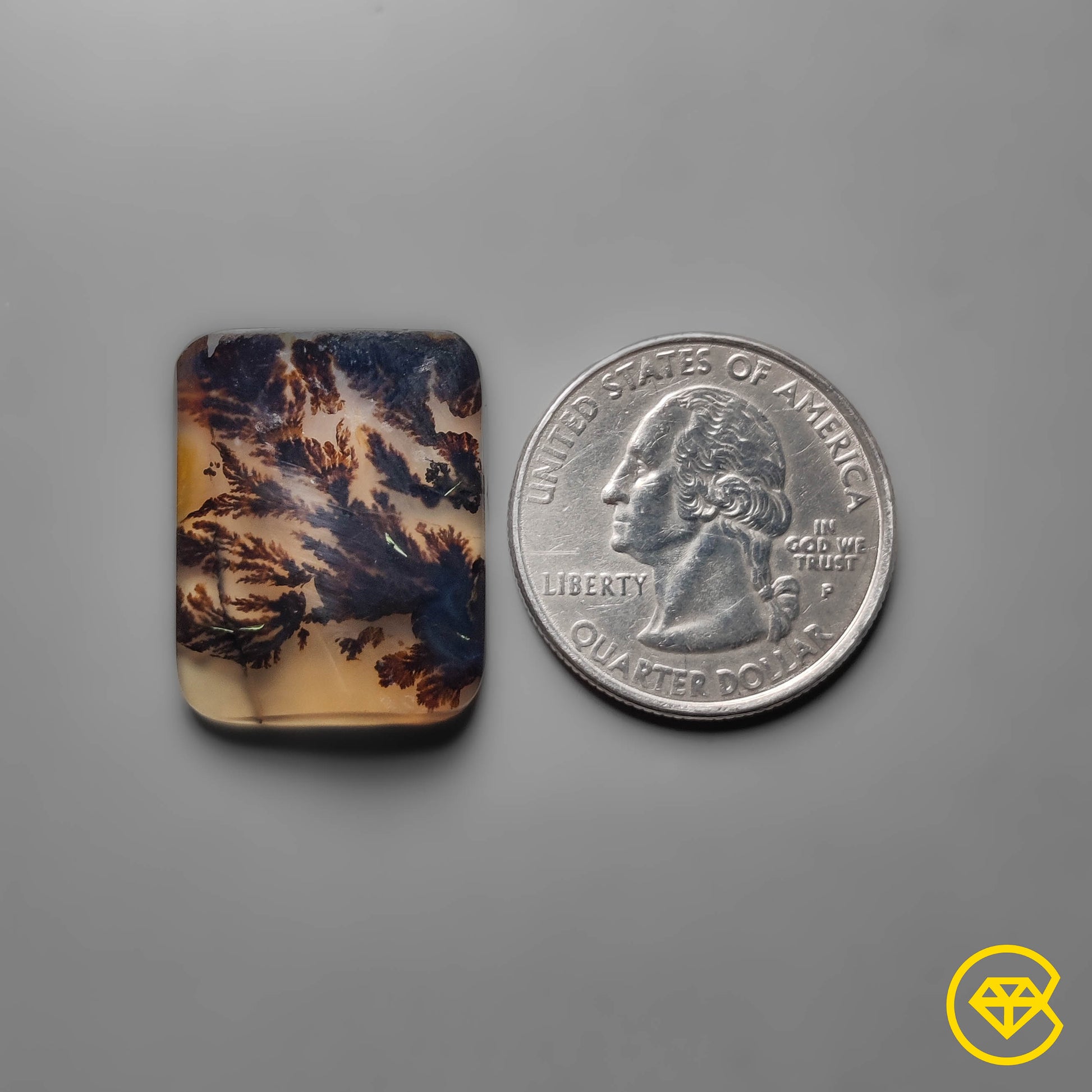 Scenic Agate