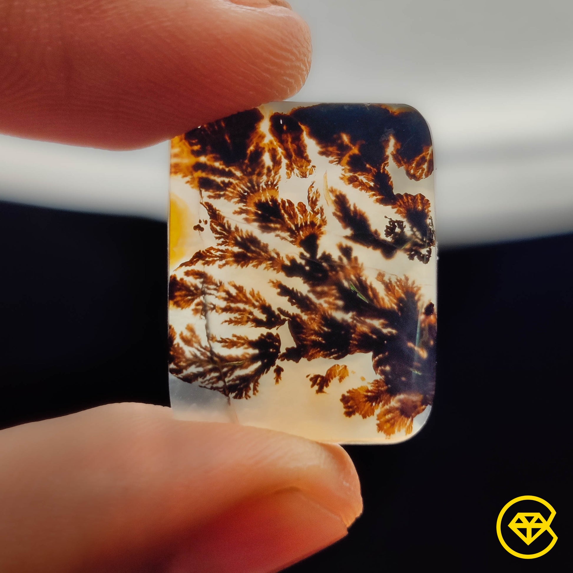 Scenic Agate
