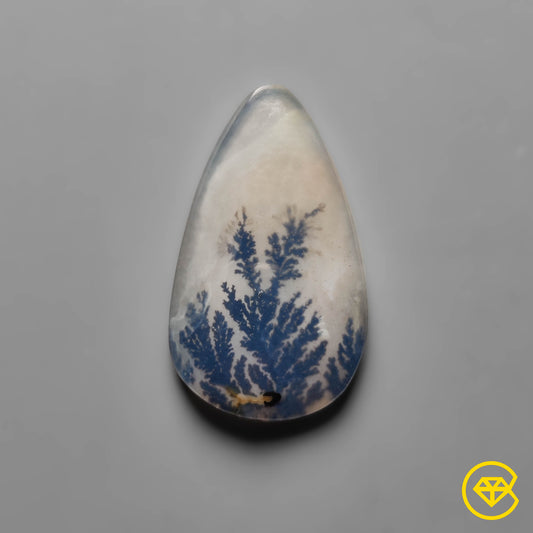 Scenic Agate