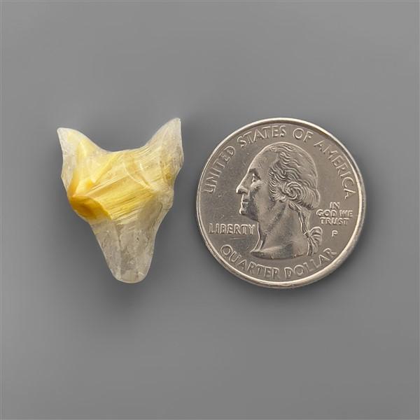 Quartz|Rutilated Quartz