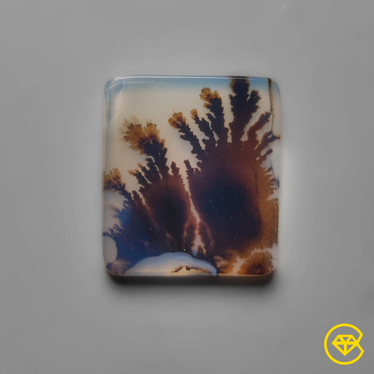 Scenic Agate