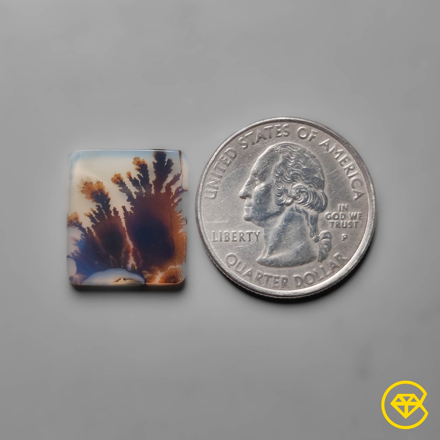 Scenic Agate