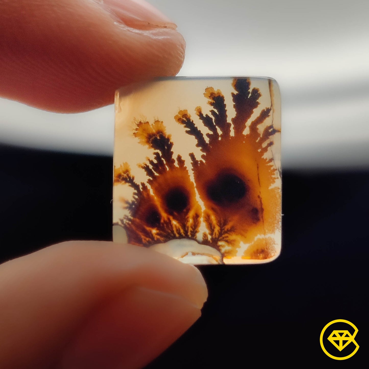 Scenic Agate