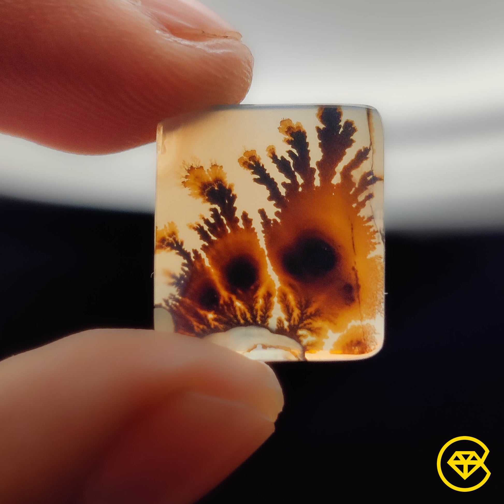 Scenic Agate