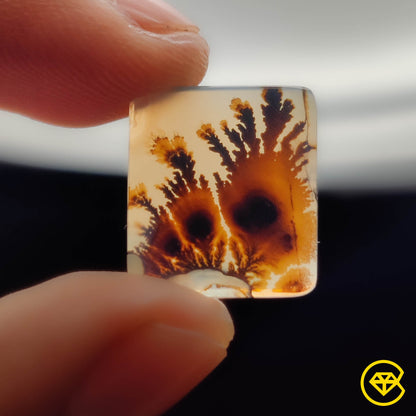 Scenic Agate