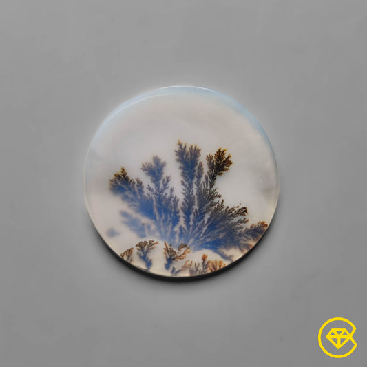 Scenic Agate
