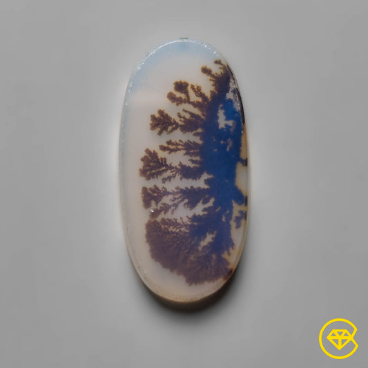 Scenic Agate