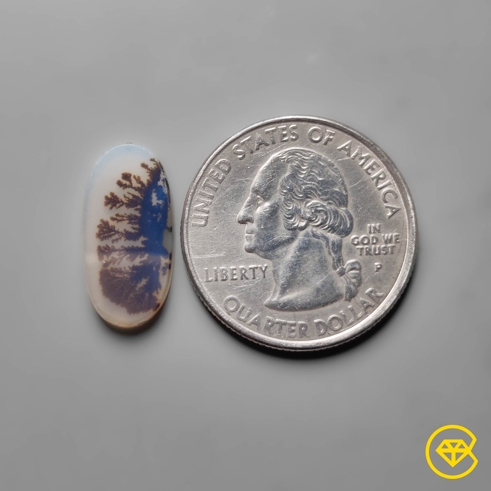 Scenic Agate