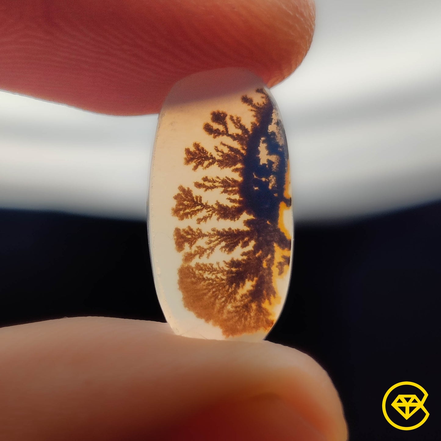 Scenic Agate