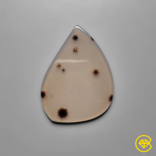 Scenic Agate