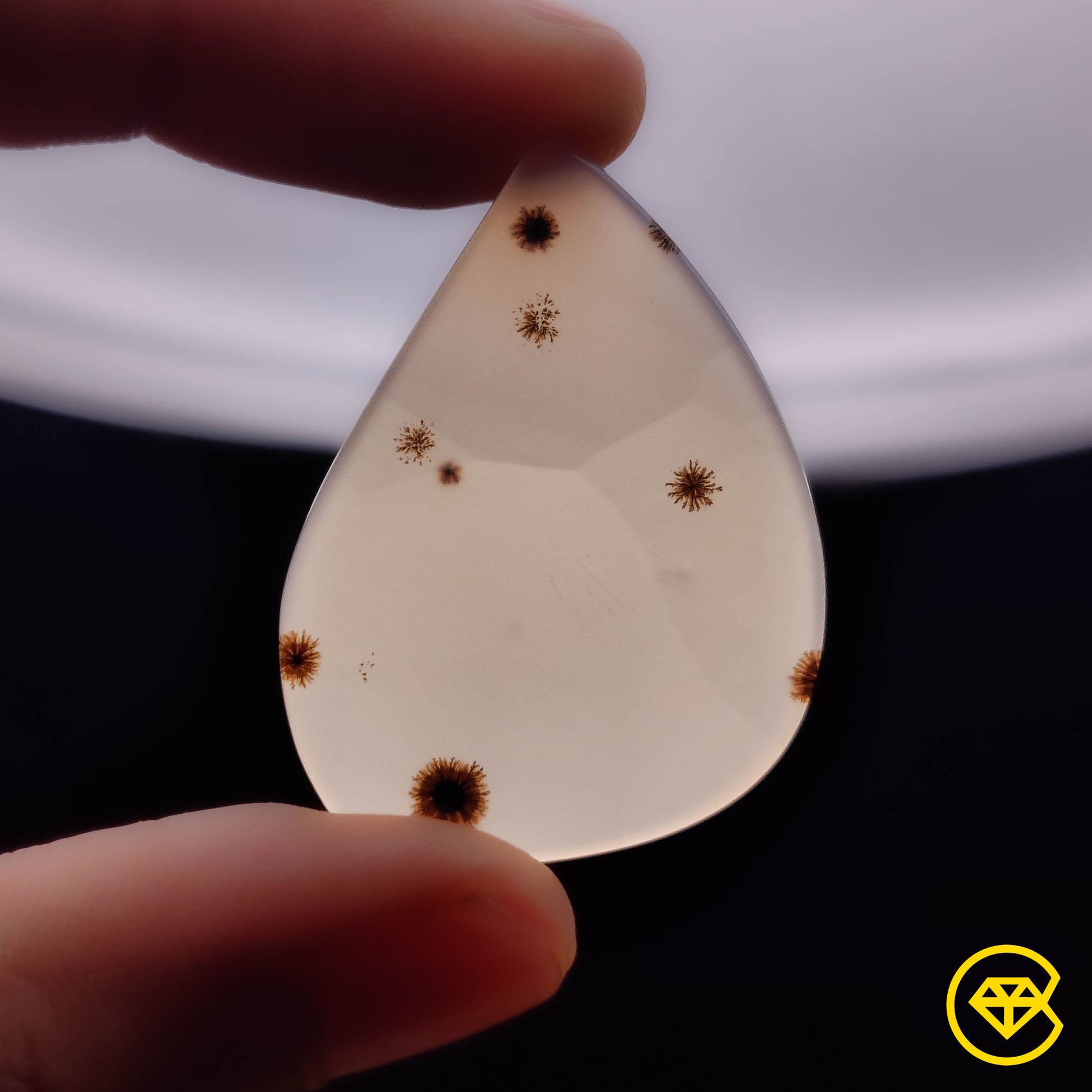 Scenic Agate