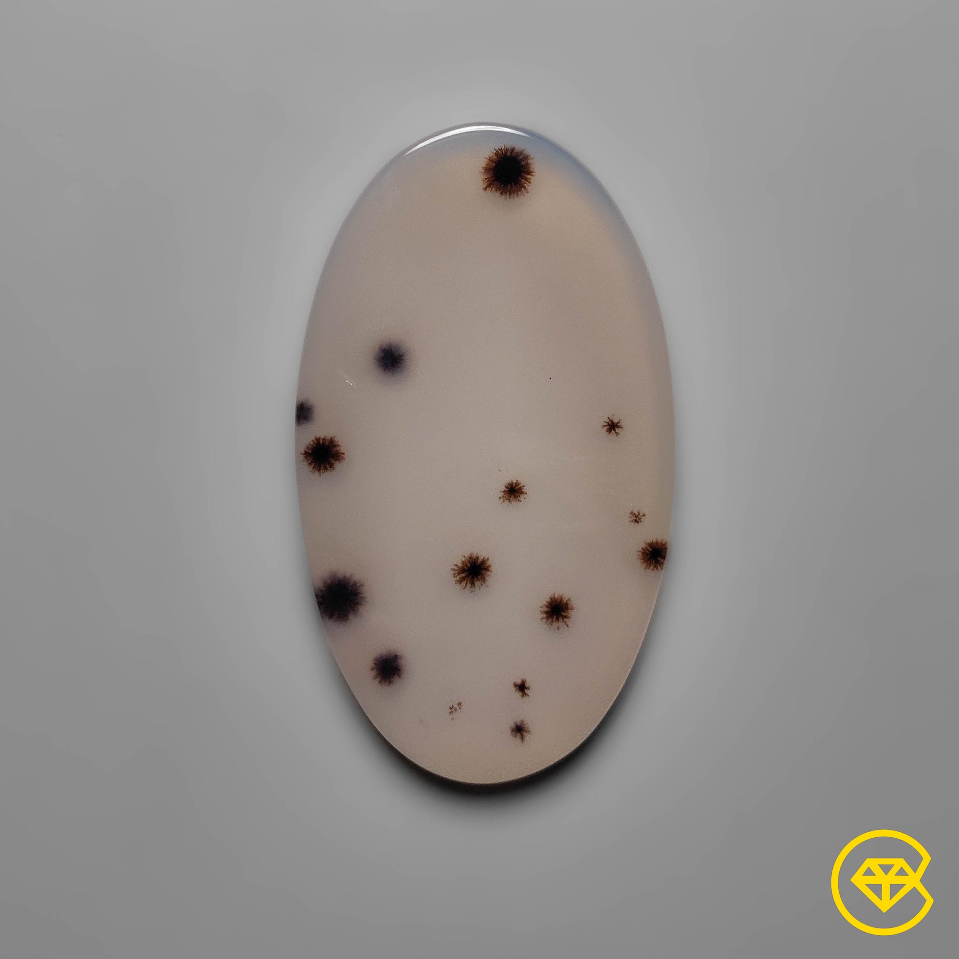 Scenic Agate