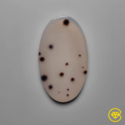 Scenic Agate