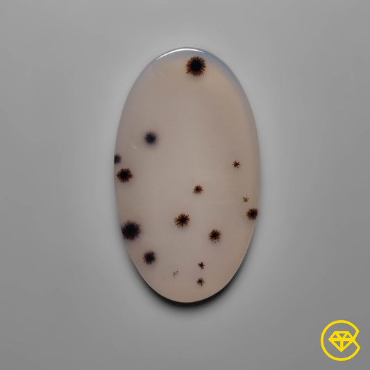 Scenic Agate