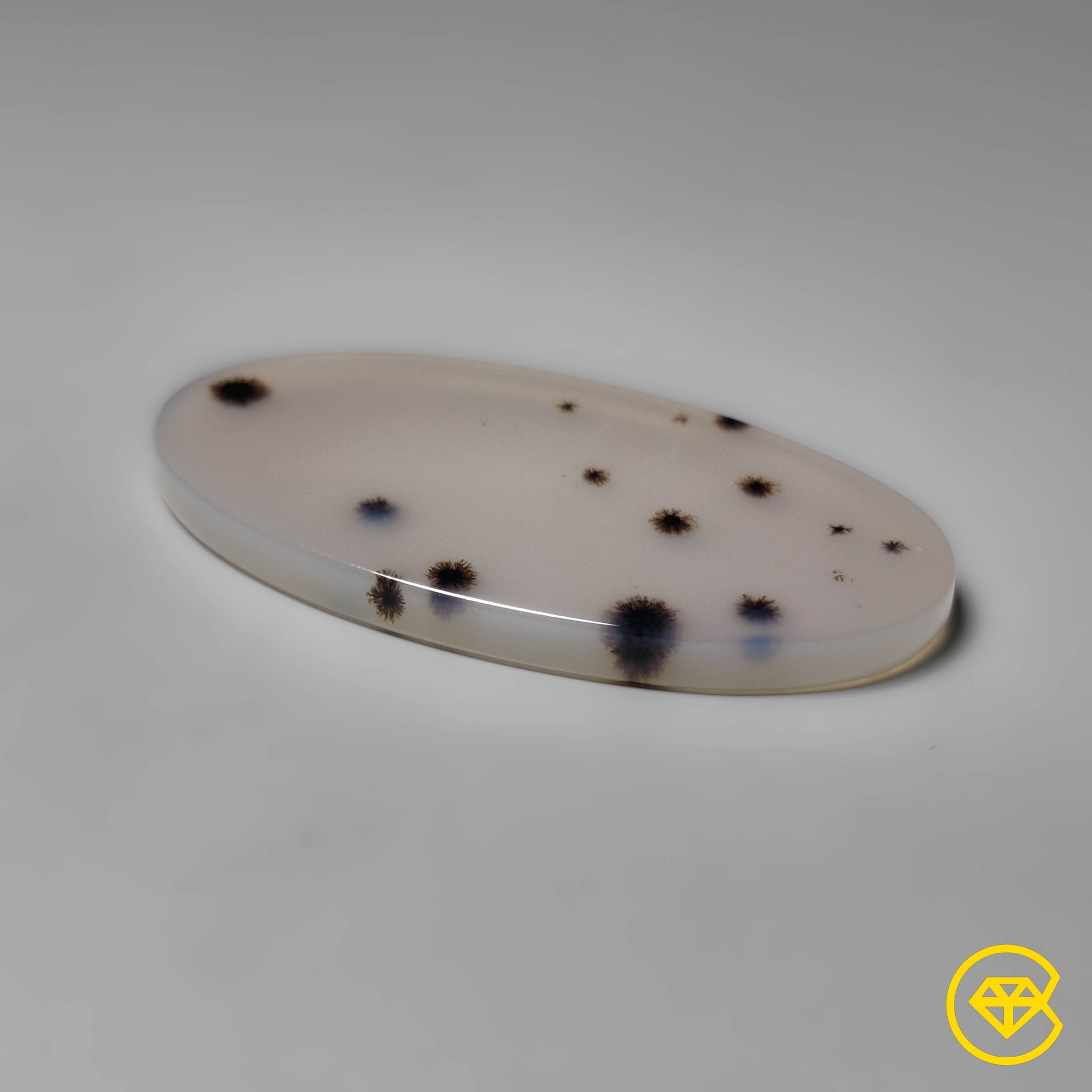 Scenic Agate