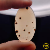 Scenic Agate
