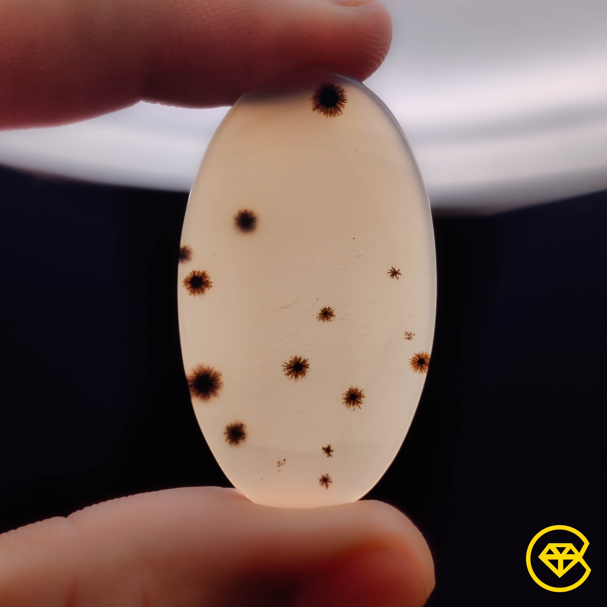 Scenic Agate