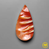 Spiny Oyster Shell