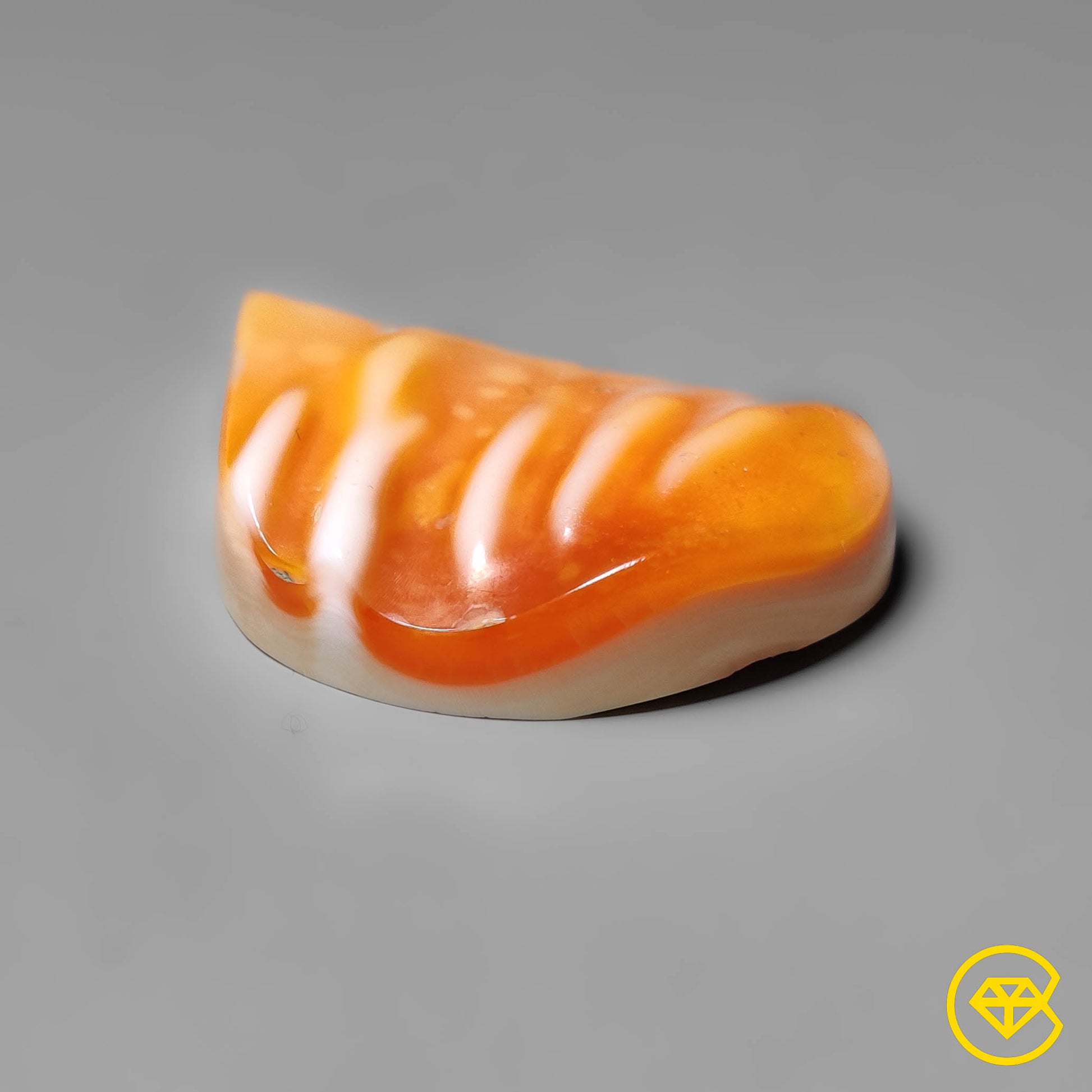 Spiny Oyster Shell