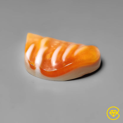 Spiny Oyster Shell