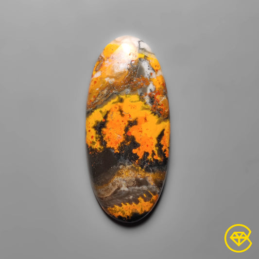 Bumble Bee Jasper