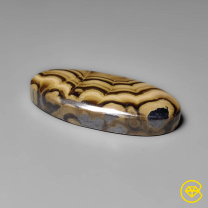 Schalenblende