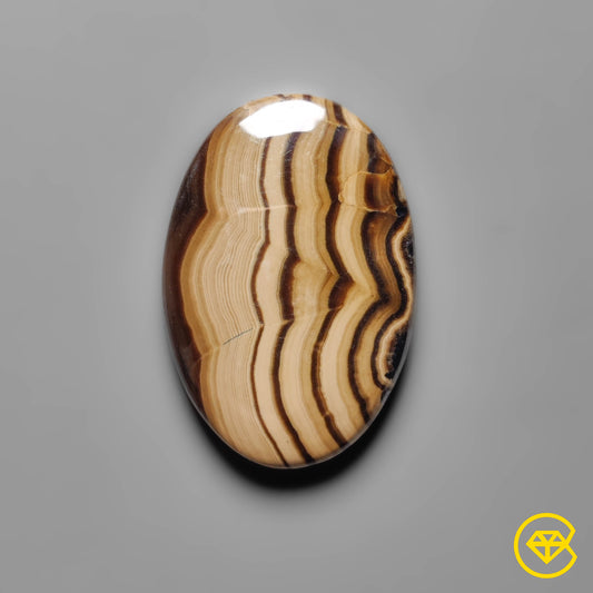 Schalenblende