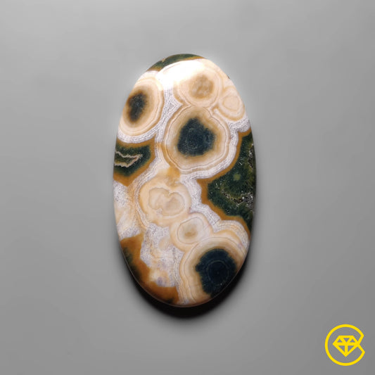 Ocean Jasper