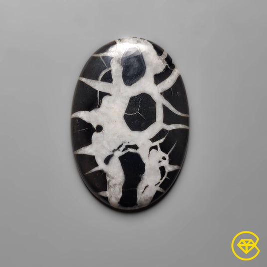 Septarian