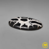 Septarian