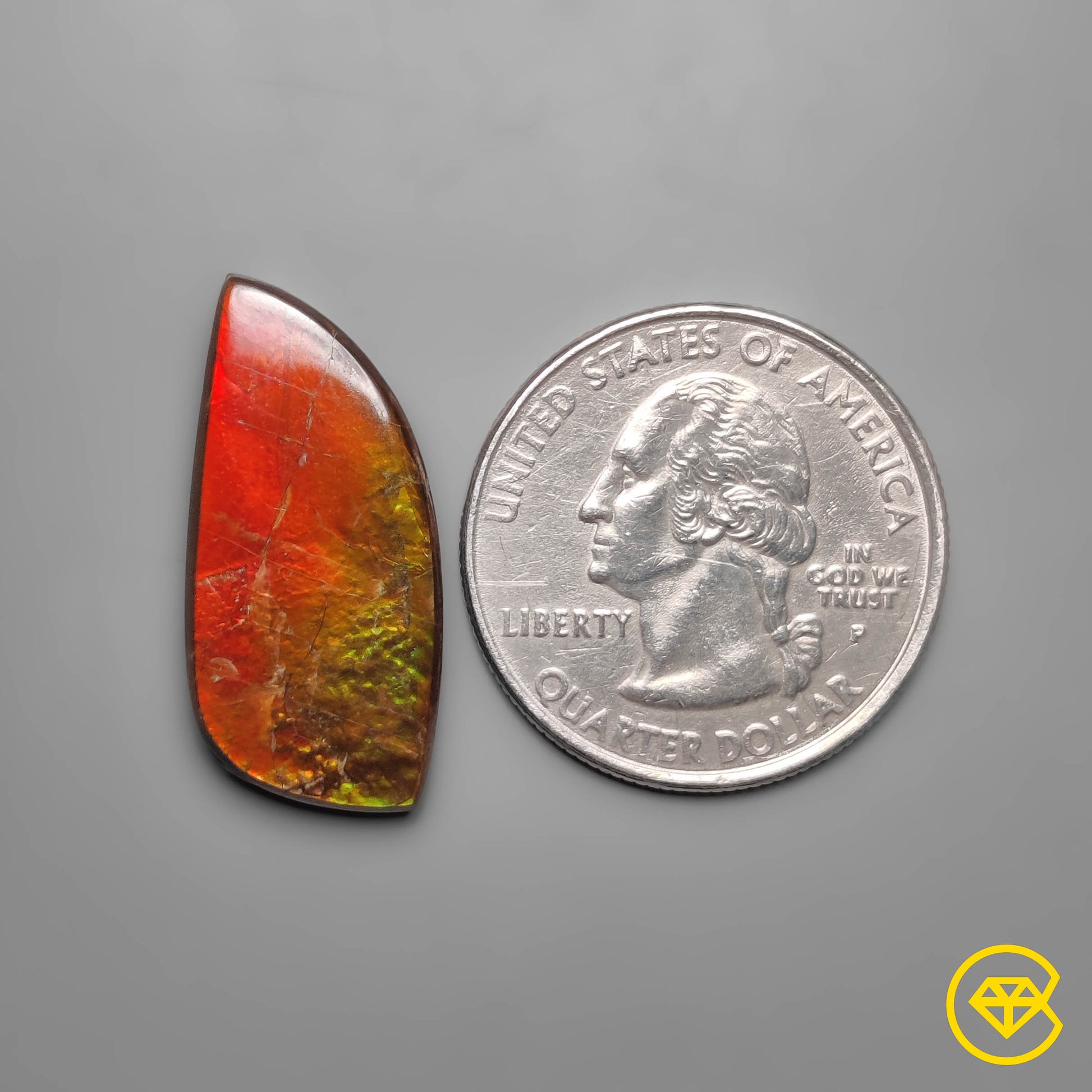 Ammolite