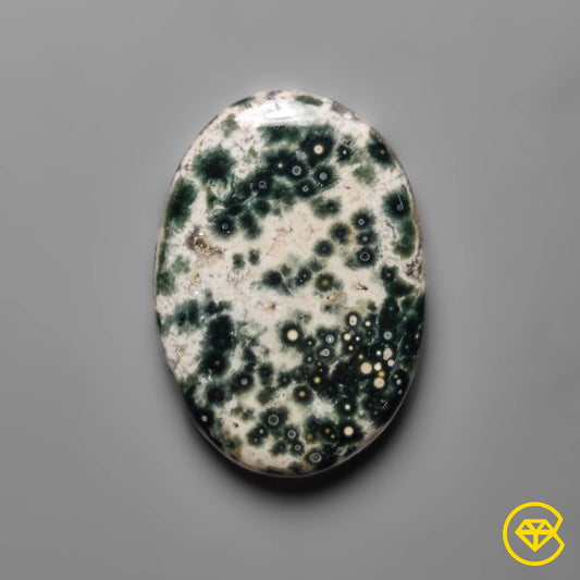 Ocean Jasper