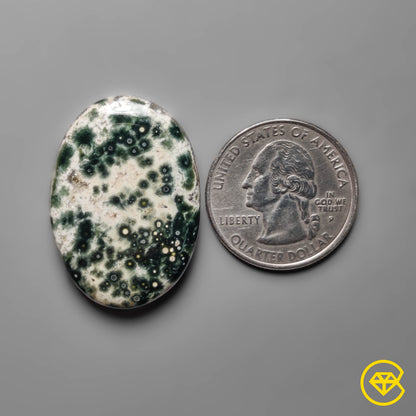 Ocean Jasper