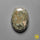 Ocean Jasper
