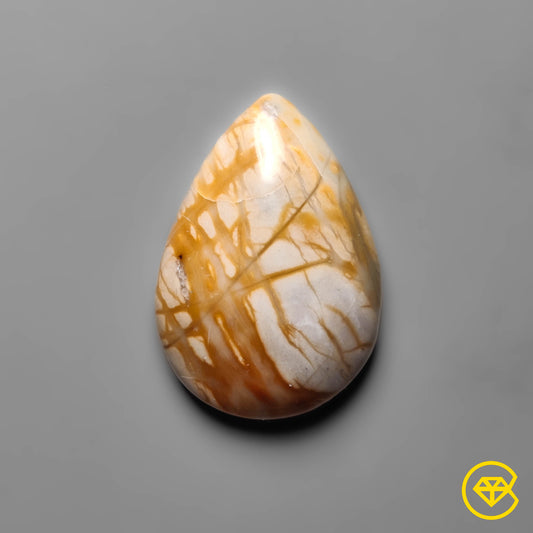 Picasso Jasper