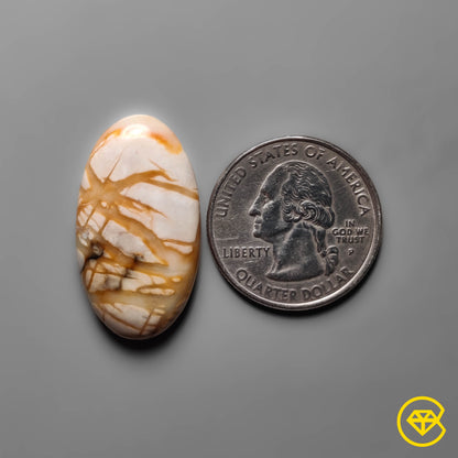 Picasso Jasper