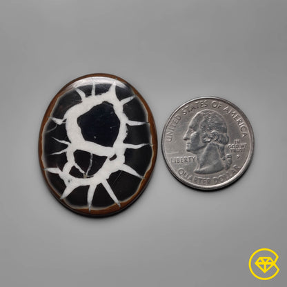 Septarian