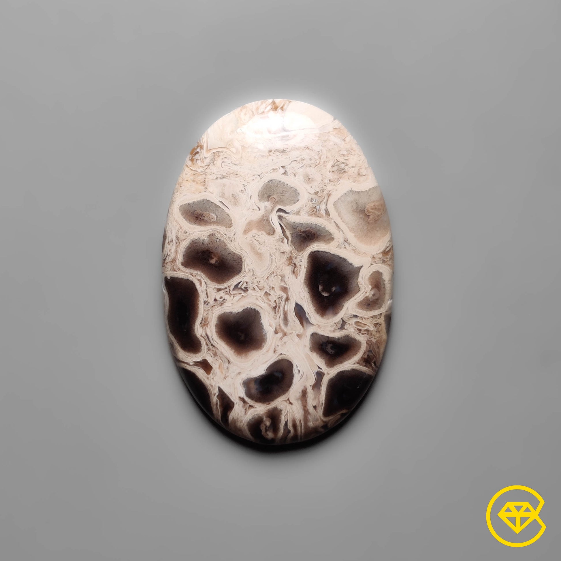 Palmroot Agate