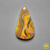 Bumble Bee Jasper