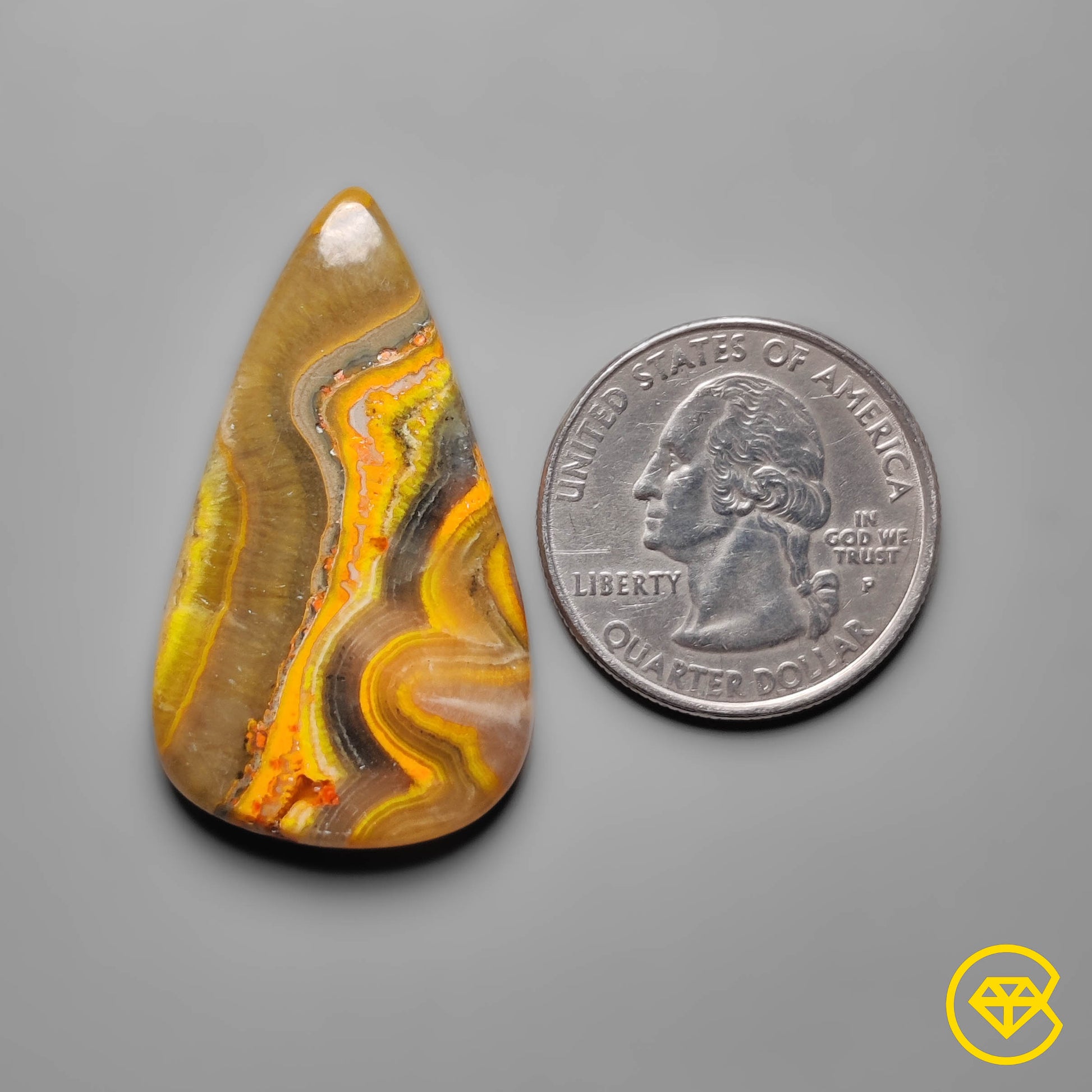 Bumble Bee Jasper