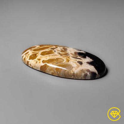 Palmroot Agate