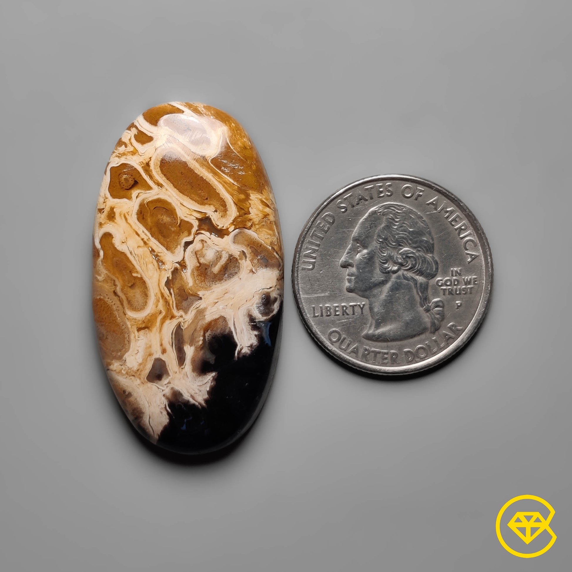 Palmroot Agate
