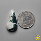 Tree Agate