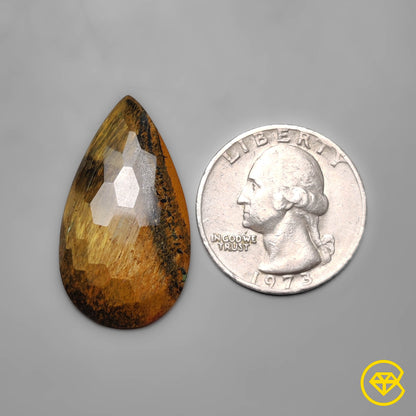 Tiger Eye