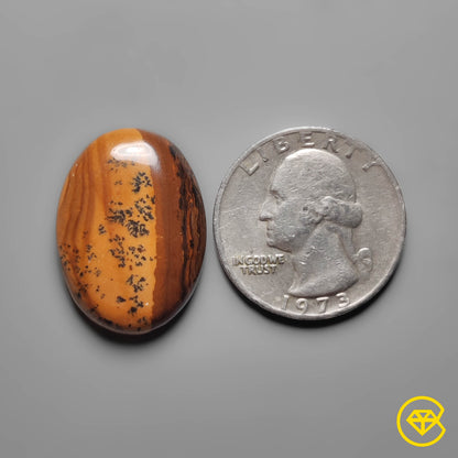 Picture Jasper