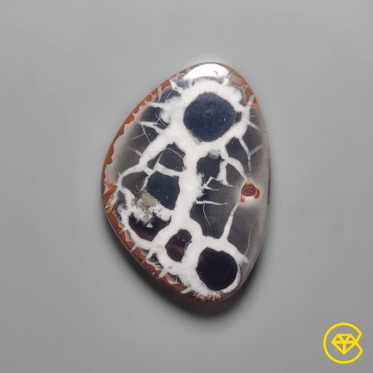 Septarian