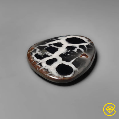 Septarian