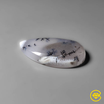 Dendritic Agate